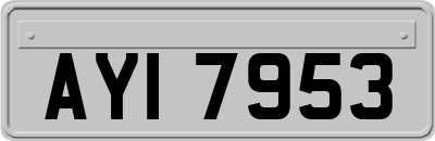 AYI7953