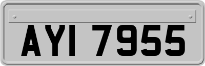 AYI7955