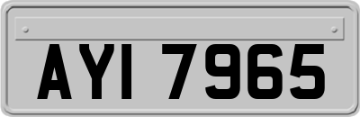 AYI7965