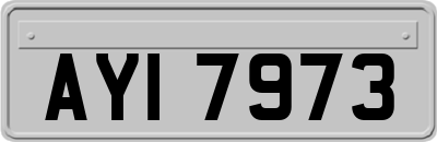 AYI7973