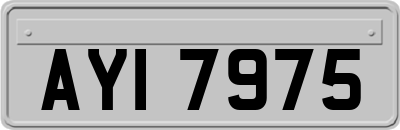AYI7975