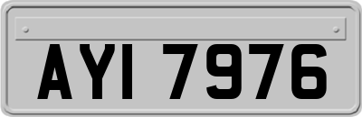 AYI7976