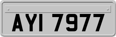 AYI7977