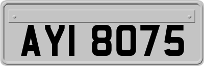 AYI8075