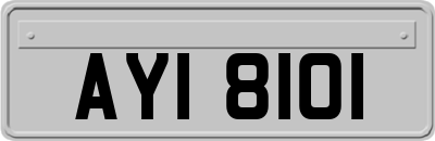 AYI8101