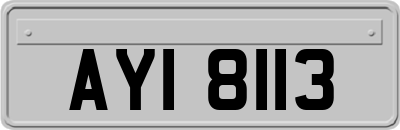 AYI8113