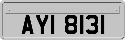AYI8131