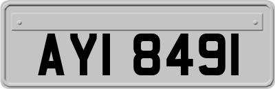 AYI8491