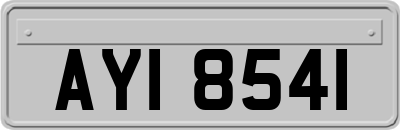AYI8541