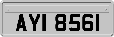 AYI8561