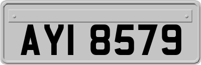 AYI8579