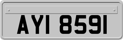 AYI8591