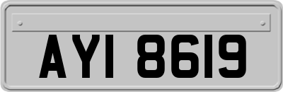 AYI8619