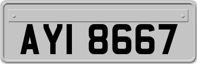 AYI8667