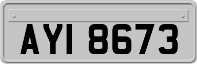 AYI8673