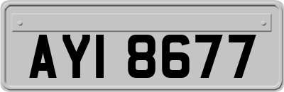 AYI8677
