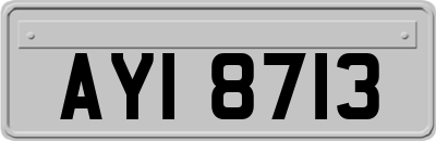 AYI8713