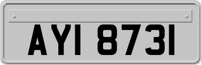 AYI8731