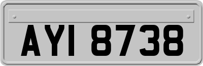AYI8738