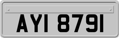 AYI8791
