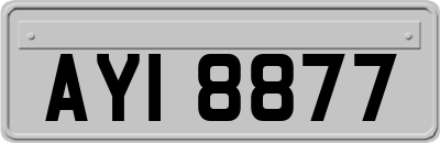 AYI8877