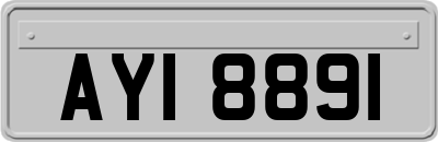 AYI8891