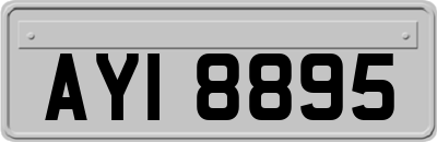 AYI8895