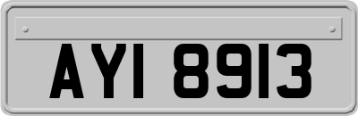 AYI8913