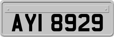AYI8929