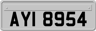 AYI8954