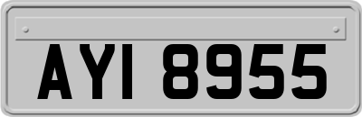 AYI8955
