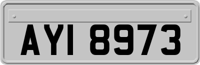 AYI8973