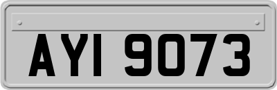 AYI9073