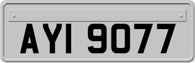 AYI9077
