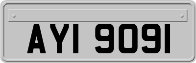 AYI9091