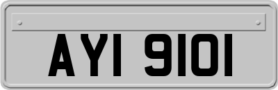 AYI9101