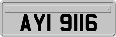 AYI9116
