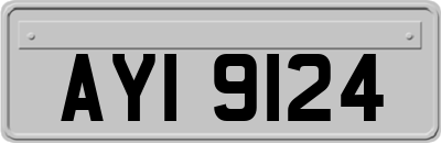 AYI9124