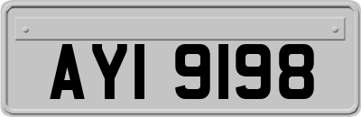 AYI9198