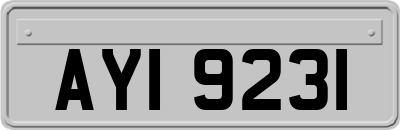 AYI9231