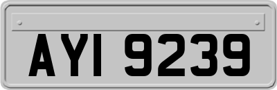 AYI9239