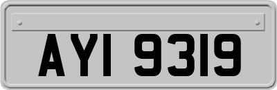 AYI9319