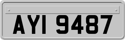 AYI9487