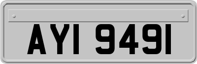 AYI9491