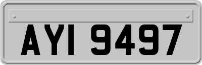 AYI9497