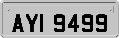 AYI9499