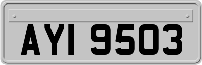 AYI9503