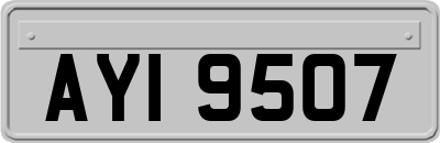 AYI9507