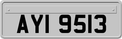 AYI9513