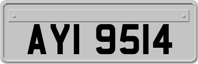 AYI9514